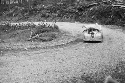 Rallye Alpenfahrt 1952r.